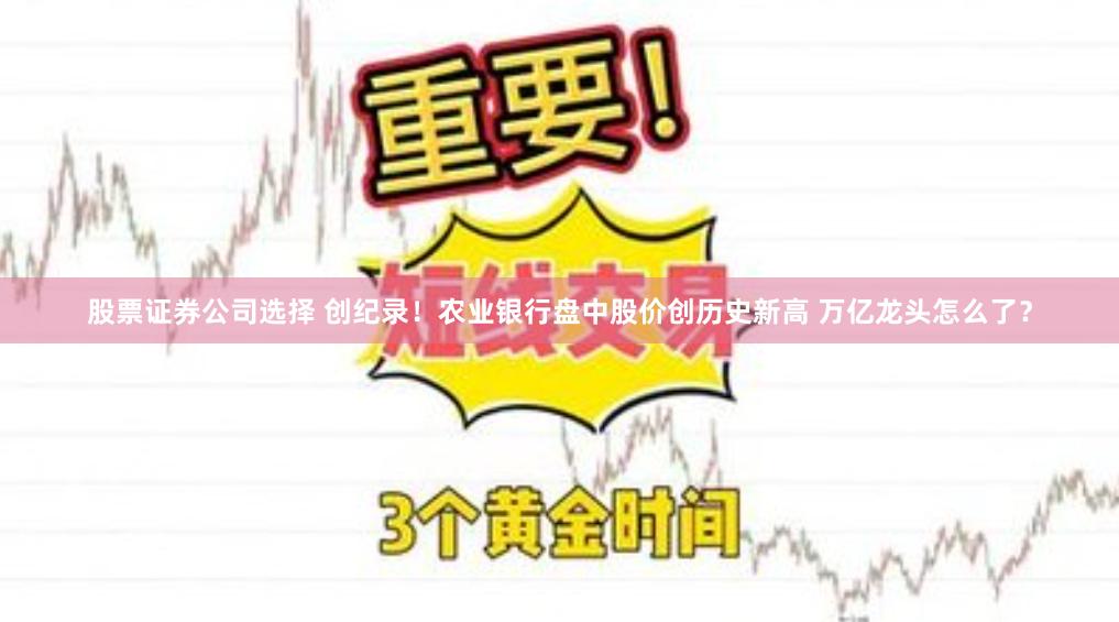 股票证券公司选择 创纪录！农业银行盘中股价创历史新高 万亿龙头怎么了？