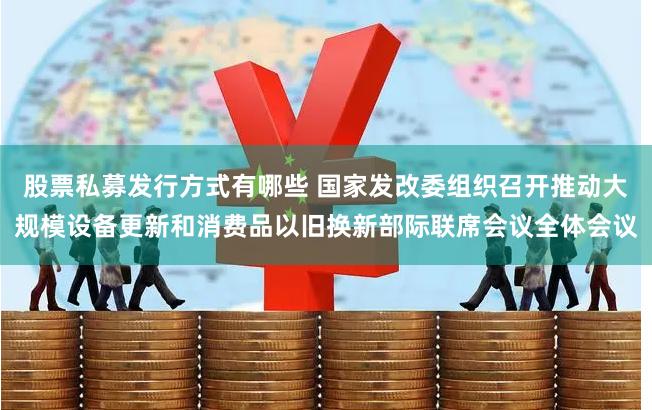股票私募发行方式有哪些 国家发改委组织召开推动大规模设备更新和消费品以旧换新部际联席会议全体会议