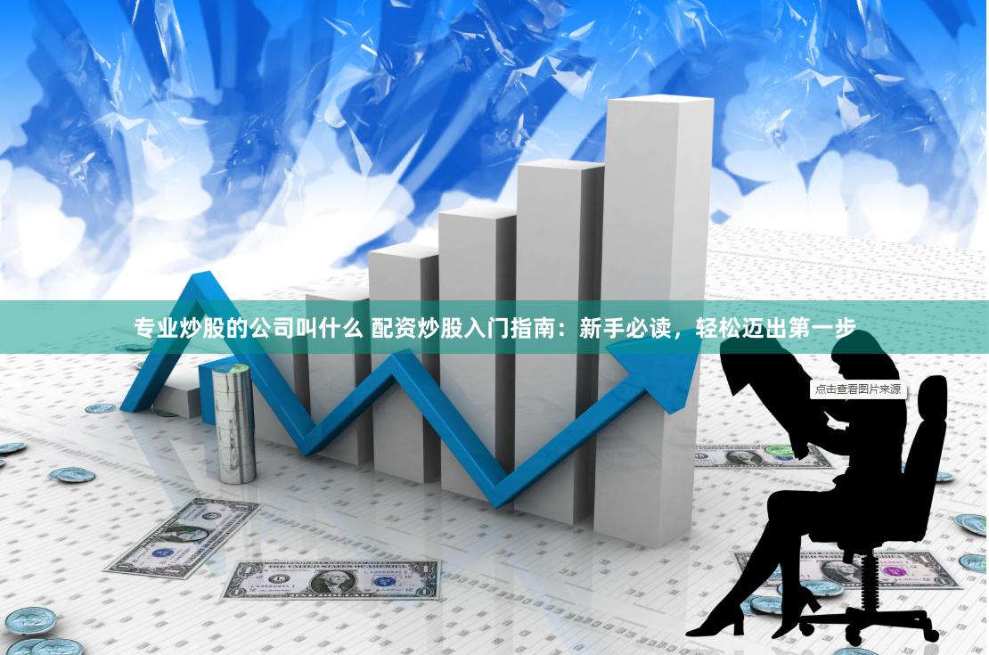 专业炒股的公司叫什么 配资炒股入门指南：新手必读，轻松迈出第一步